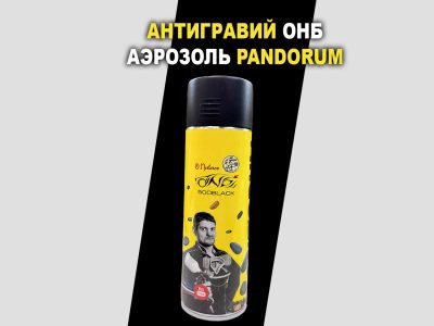 Новинка на сайте ОНБ: Антигравий PANDORUM 500 мл!